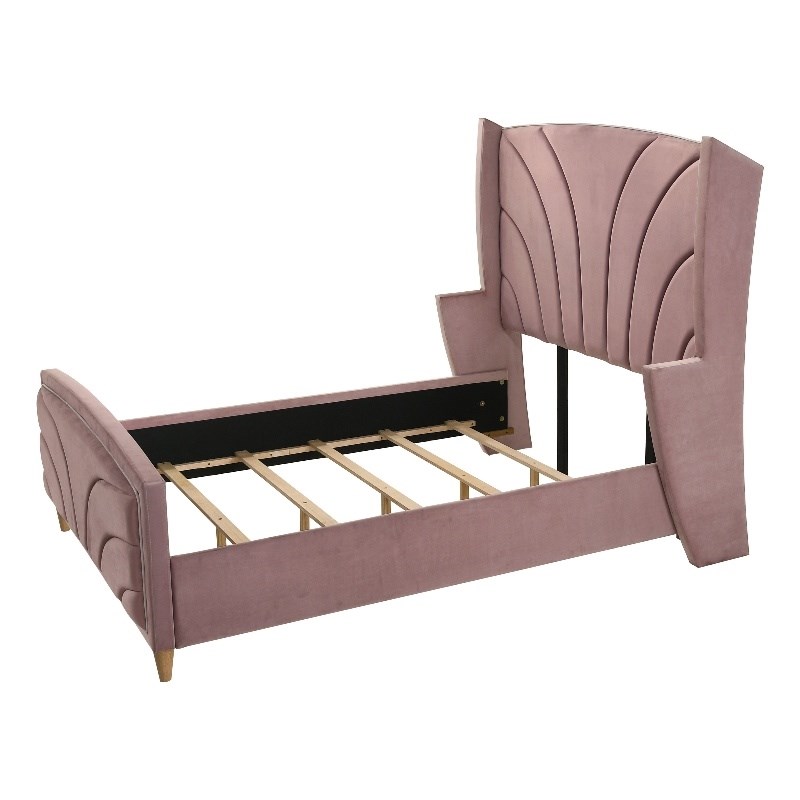 ACME Salonia Tufted Velvet Upholstery Queen Bed with Wood Leg in Pink Homesquare