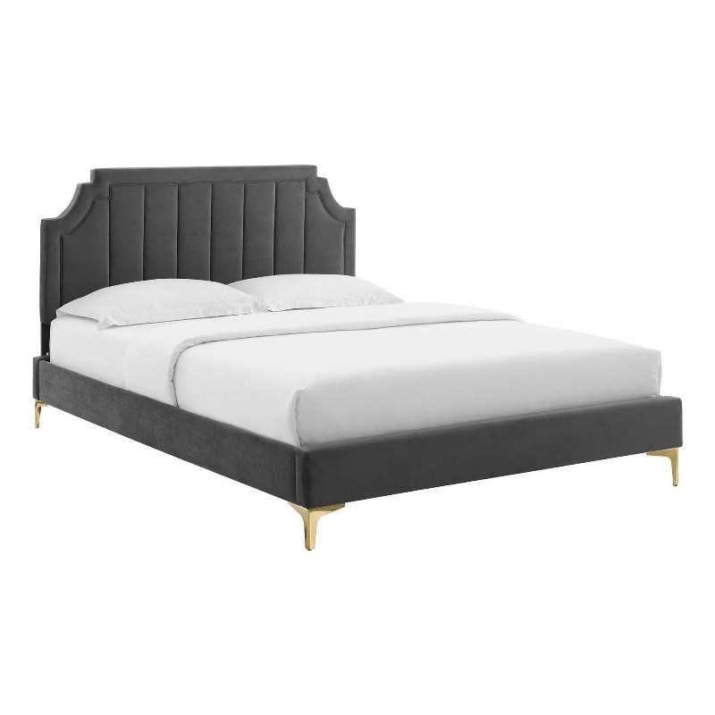 Modway Sienna Velvet Queen Platform Bed with Gold Legs in Charcoal