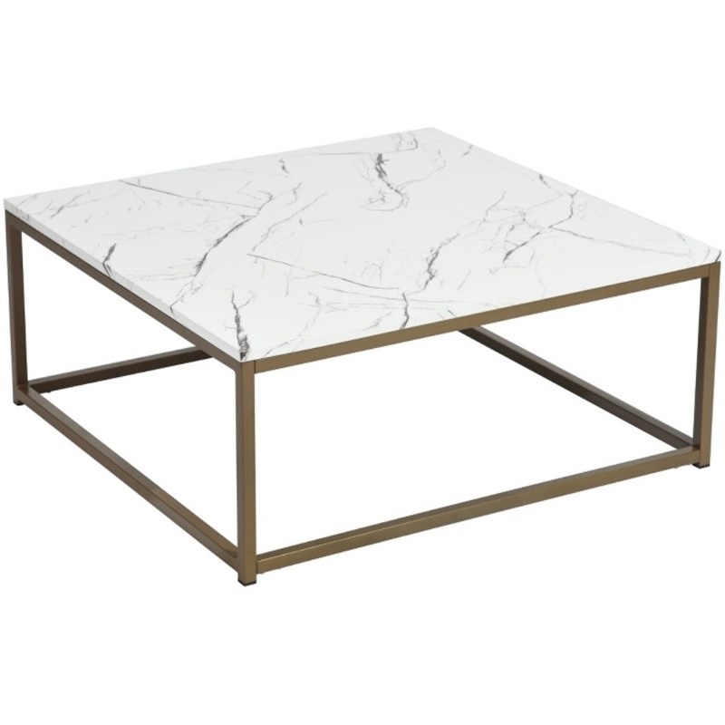 Homycasa Gold Frame Coffee Table in White Homesquare