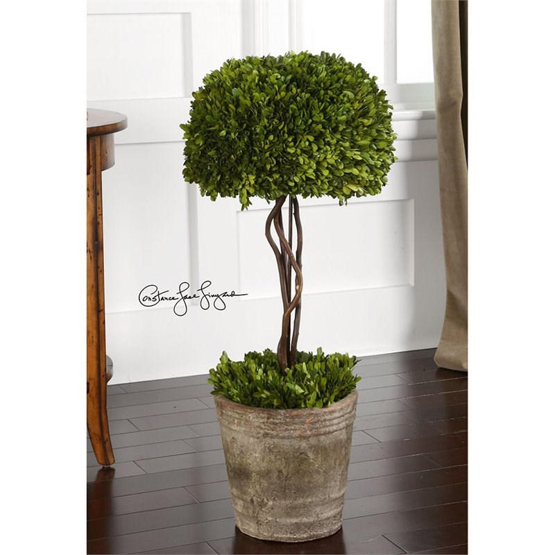 Uttermost Tree Topiary Preserved Boxwood in Natural Evergreen Homesquare