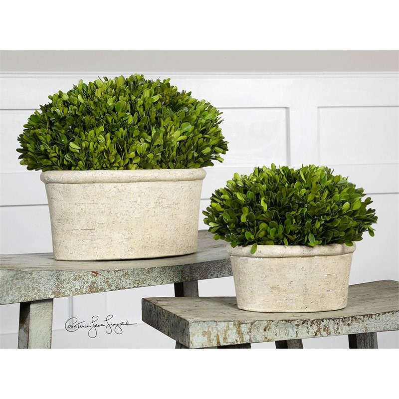 Uttermost Preserved Boxwood 2 Piece Oval Dome Set in Mossy Stone