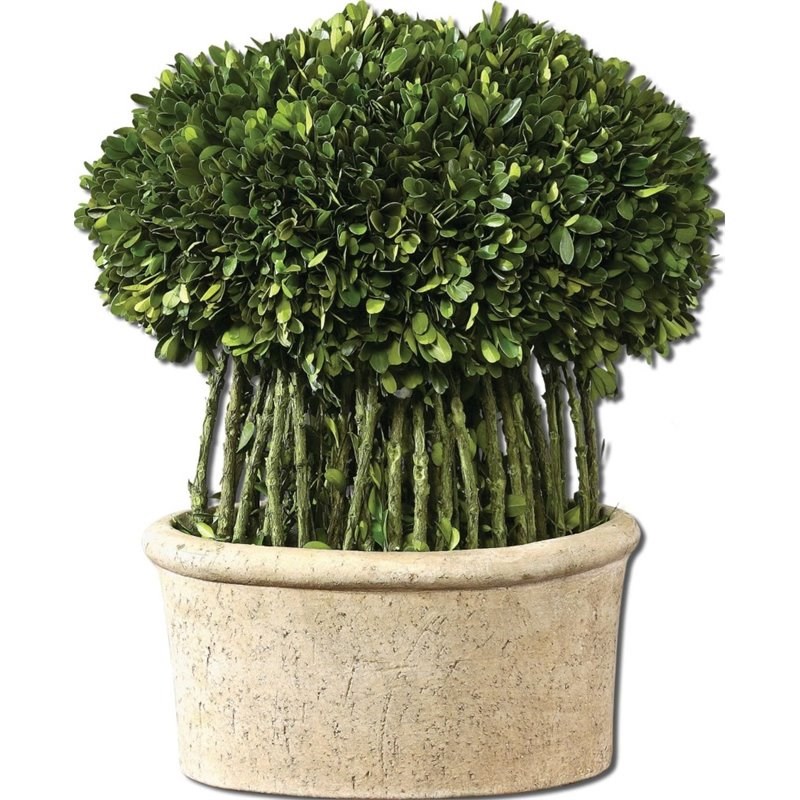 Uttermost Willow Topiary Preserved Boxwood in Mossy Stone