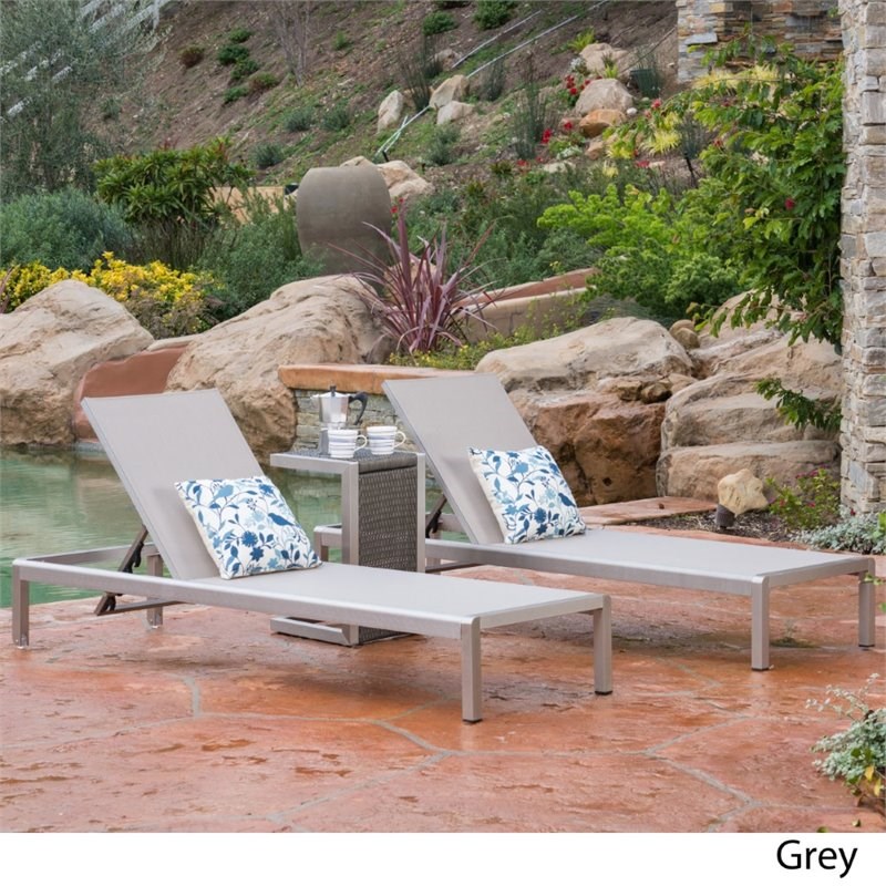 Noble House Cape Coral 2 Piece Outdoor Mesh Chaise Lounge Set in Gray