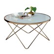 ACME Valora Coffee Table in Frosted Glass and Champagne
