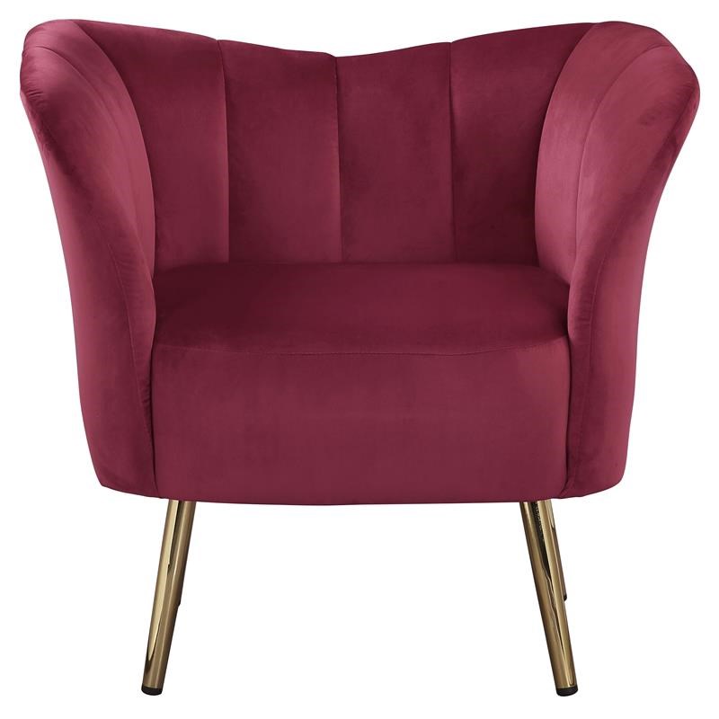 ACME Reese Velvet Upholstery Accent Chair in Burgundy and Gold