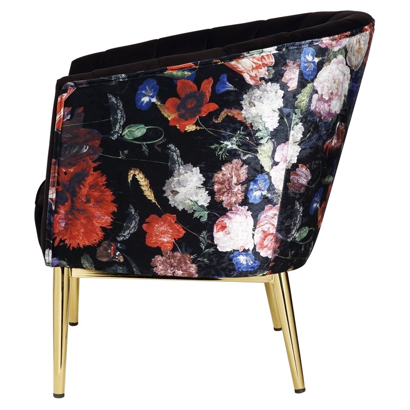 ACME Colla Velvet Upholstery Accent Chair with Tufted Back in Black and Gold