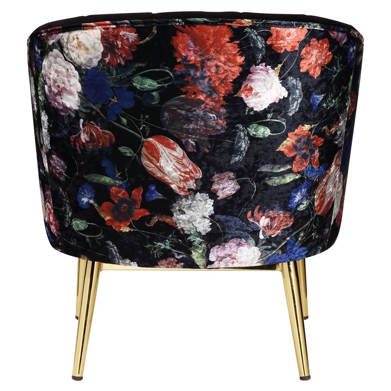 ACME Colla Velvet Upholstery Accent Chair with Tufted Back in Black and Gold