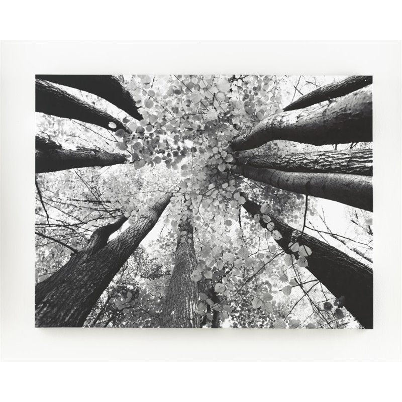 Ashley Furniture Ananya Wall Art in Black and White Homesquare