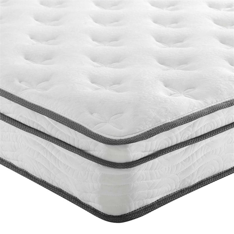 Modway Jenna 8" Narrow Twin Innerspring Mattress in White Homesquare