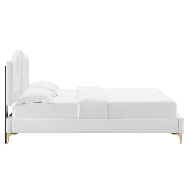Modway Juniper Velvet Full Platform Bed with Gold Legs in White