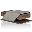 Furniture of America Menster Modern Wood Storage Coffee Table in Reclaimed Oak
