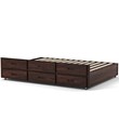 Furniture of America Frederick Solid Wood Trundle with 3 Drawers in Dark Walnut