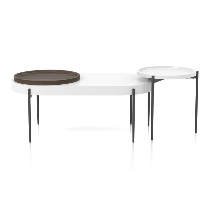 Furniture of America Hylen Metal 2-Piece Coffee Table Set in White