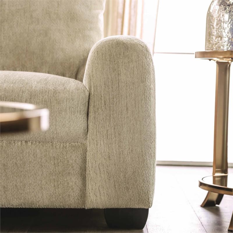 Furniture of America Pryna Contemporary Chenille Upholstered Loveseat in Beige