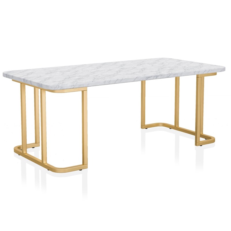 Furniture of America Clotten Metal 2-Piece Coffee Table in Gold and White