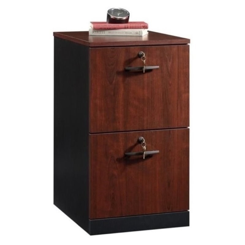 Bowery Hill 2 Drawer Transitional File Cabinet in Classic Cherry