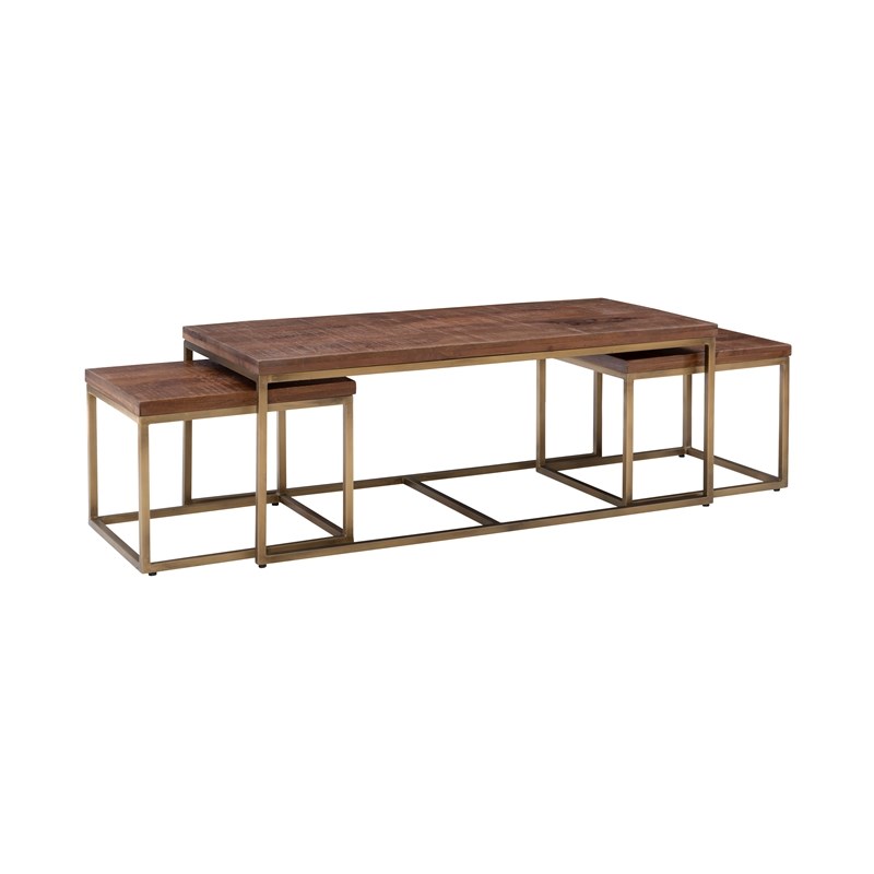 Pemberly Row Contemporary Metal and Mango Wood Coffee Table in Gold