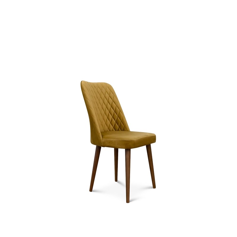 Pemberly Row Mid-Century Velvet Dining Chair in Gold (Set of 2)