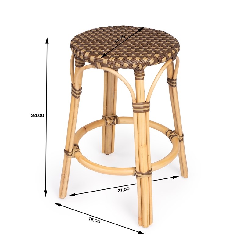 Beaumont Lane 24" Transitional Rattan Counter Stool in Brown Homesquare
