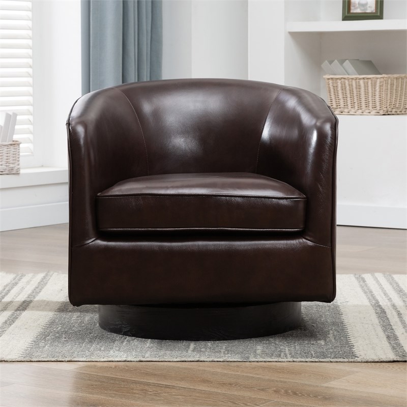 Turner Brown Top Grain Leather Modern Swivel Chair