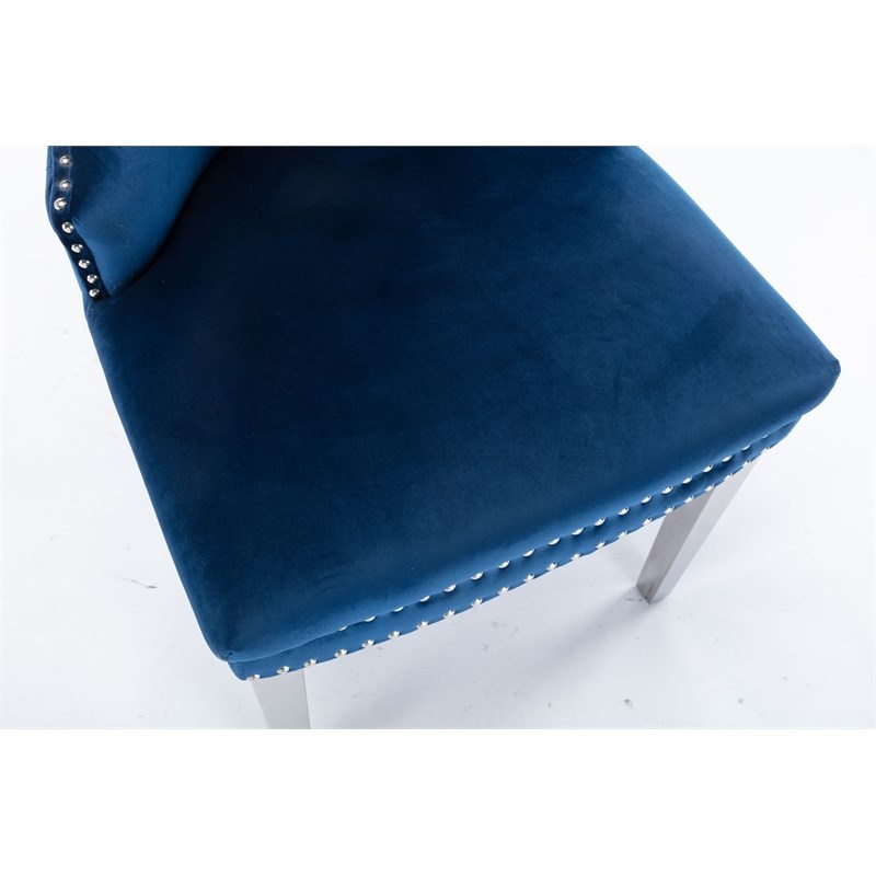Simba Stainless Steel 2 Piece Chair Finish with Velvet Fabric in Blue