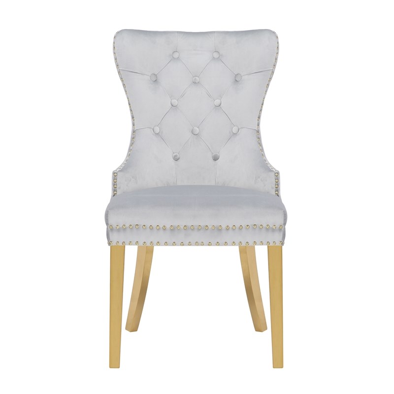 Simba Gold 2 Piece Dinning Chair Finish with Velvet Fabric in Light Gray