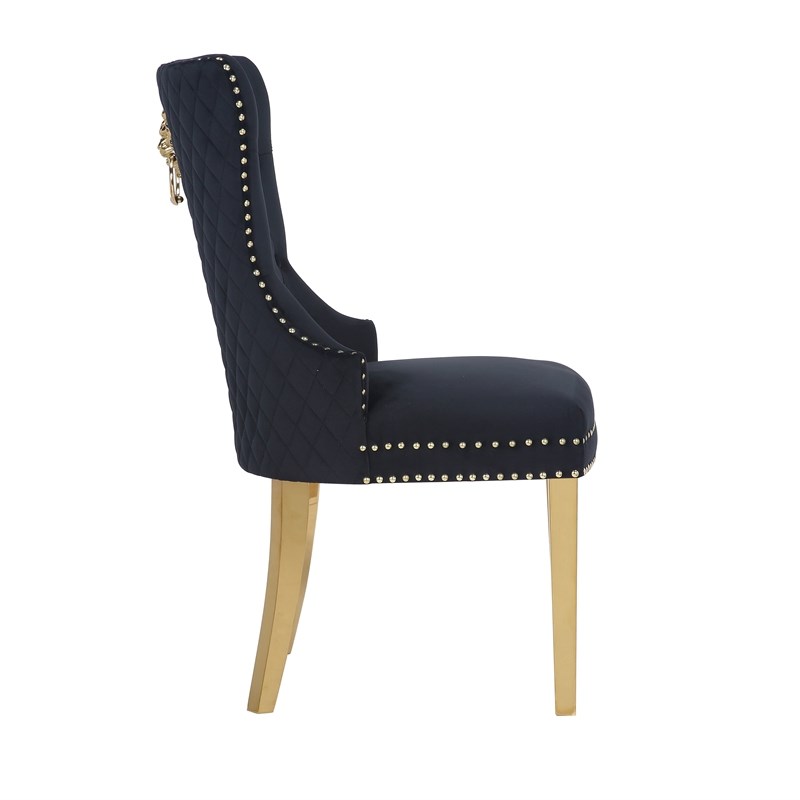 Simba Gold 2 Piece Dinning Chair Finish with Velvet Fabric in Black