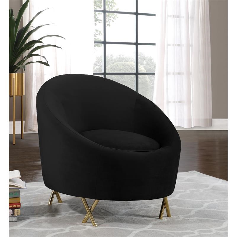 Meridian Furniture Serpentine Velvet Accent Chair in Black and Gold