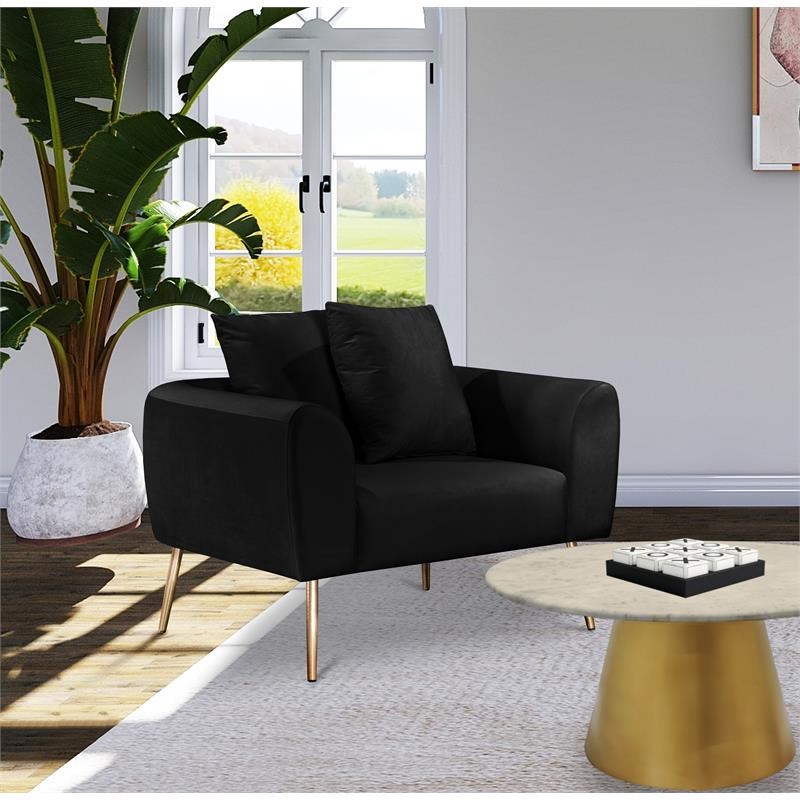 Meridian Furniture Quinn Black Velvet Chair