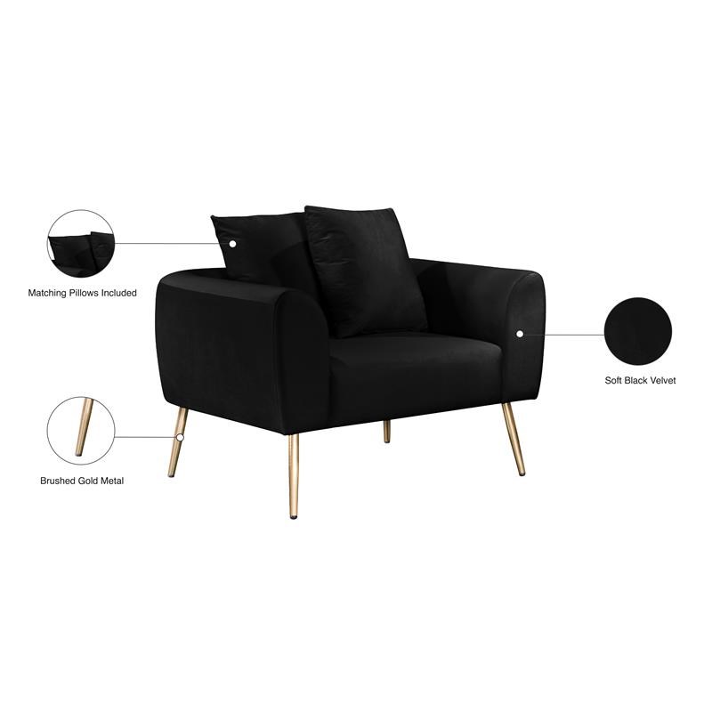 Meridian Furniture Quinn Black Velvet Chair