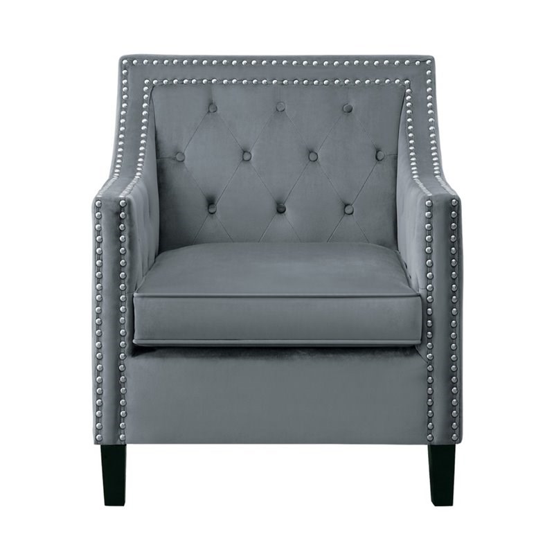Lexicon Grazioso Velvet Upholstered Accent Chair in Gray Homesquare