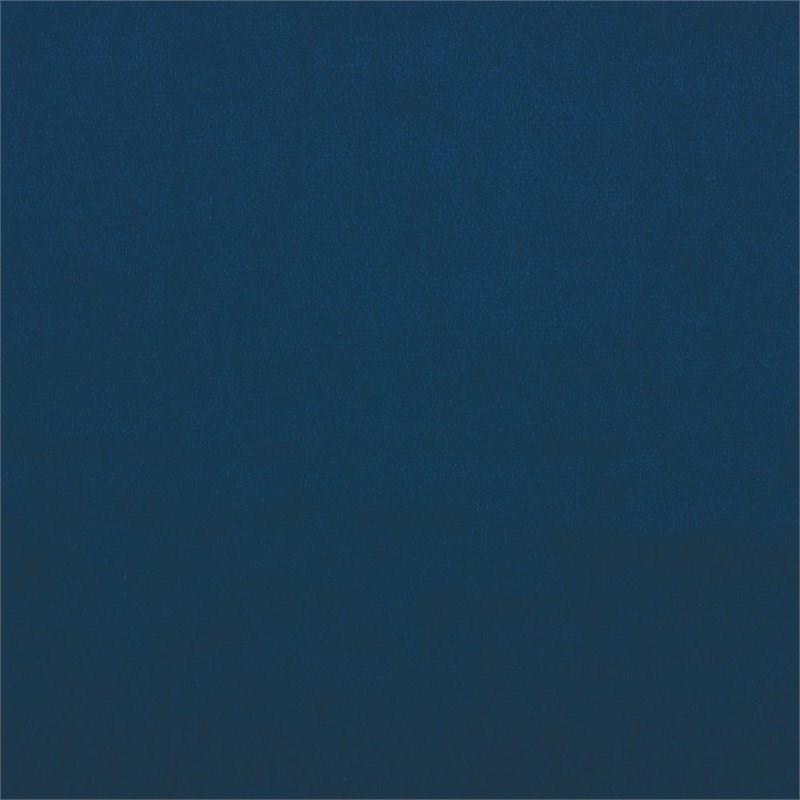 Lexicon Grazioso Velvet Upholstered Accent Chair in Navy Homesquare