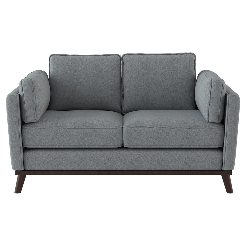 Lexicon Bedos 62 inches Modern Textured Fabric Loveseat in Gray