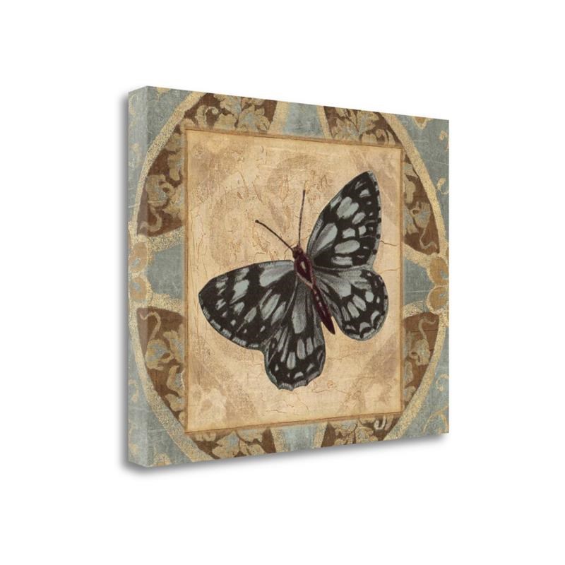 23 x 18 Natures Butterfly I by Piper Ballantyne PrintOnCanvas Fabric Multi-Color