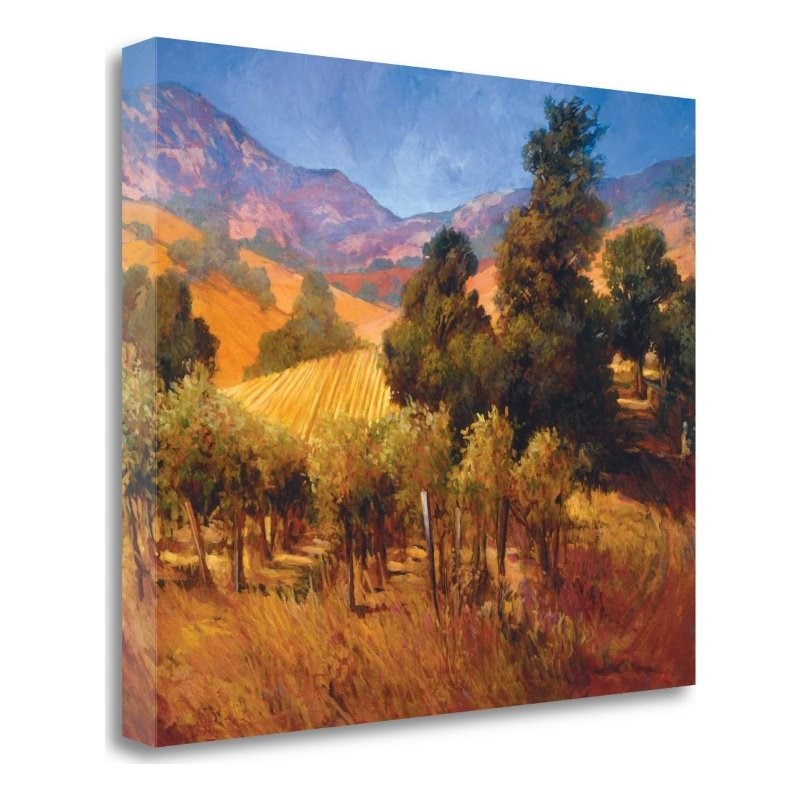 21 x 18 Southern VIneyard Hillside by Philip Craig - Multi-Color Canvas Fabric