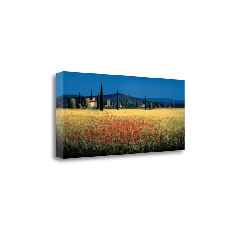 39 x 17 Tuscan Panorama - Poppies by David Short PrintOnCanvasFabric Multi-Color