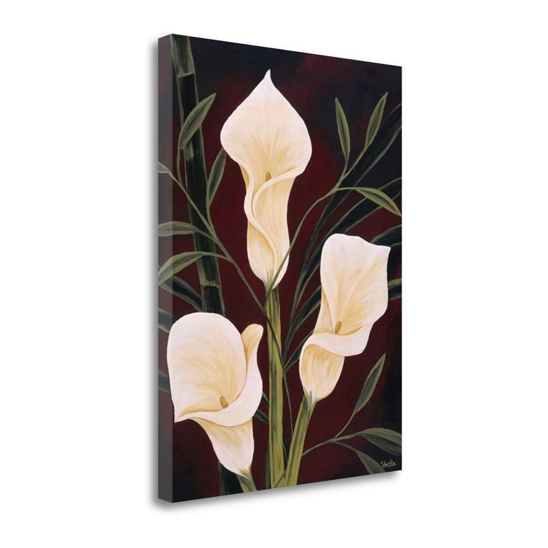 35 x 47 Botanical Elegance II by Yvette St. Amant - on Canvas Fabric Multi-Color