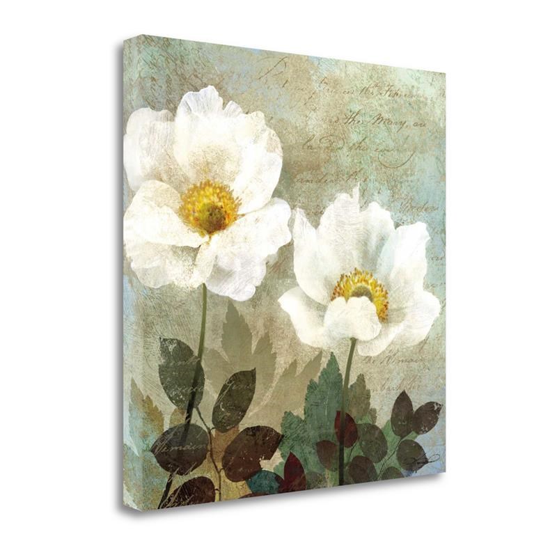 20 x 20 Anemone II by Keith Mallett- Wall Art Print on Canvas Fabric Multi-Color