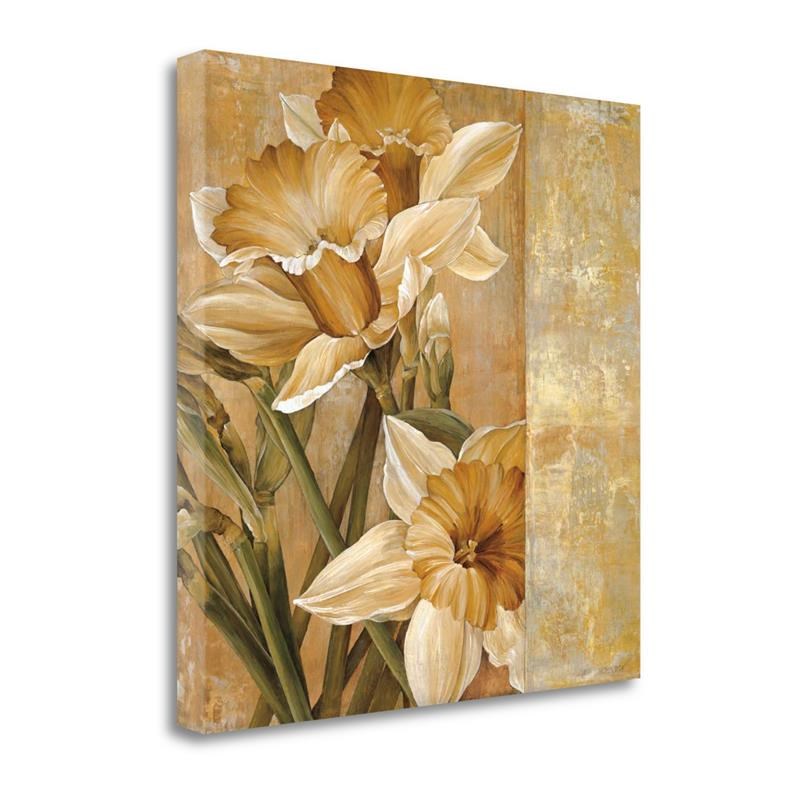 30x30 Champagne Daffodils I By Linda Thompson Print on Canvas Fabric Multi-Color