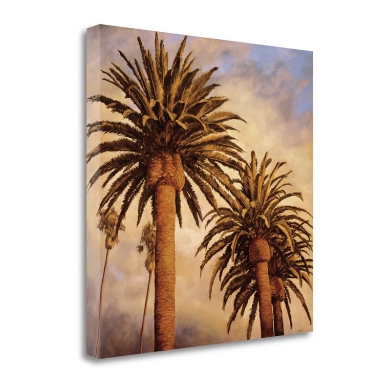 30 x 30 Fog Over Canary Palms by Rick Garcia- Print on Canvas Fabric Multi-Color
