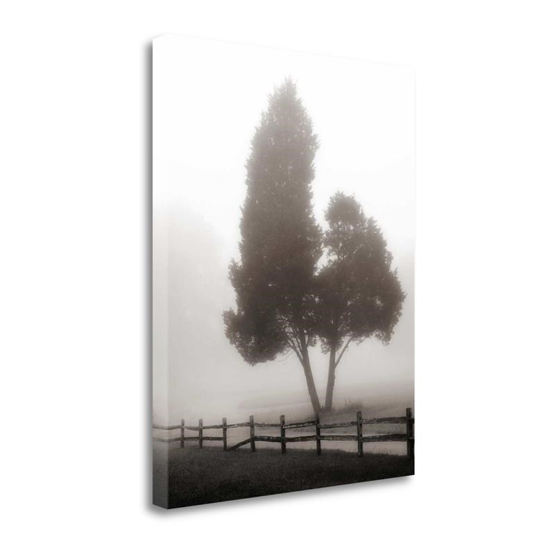 23 x 29 Cedar Tree And Fence By Nicholas Bell Print on Canvas Fabric Multi-Color