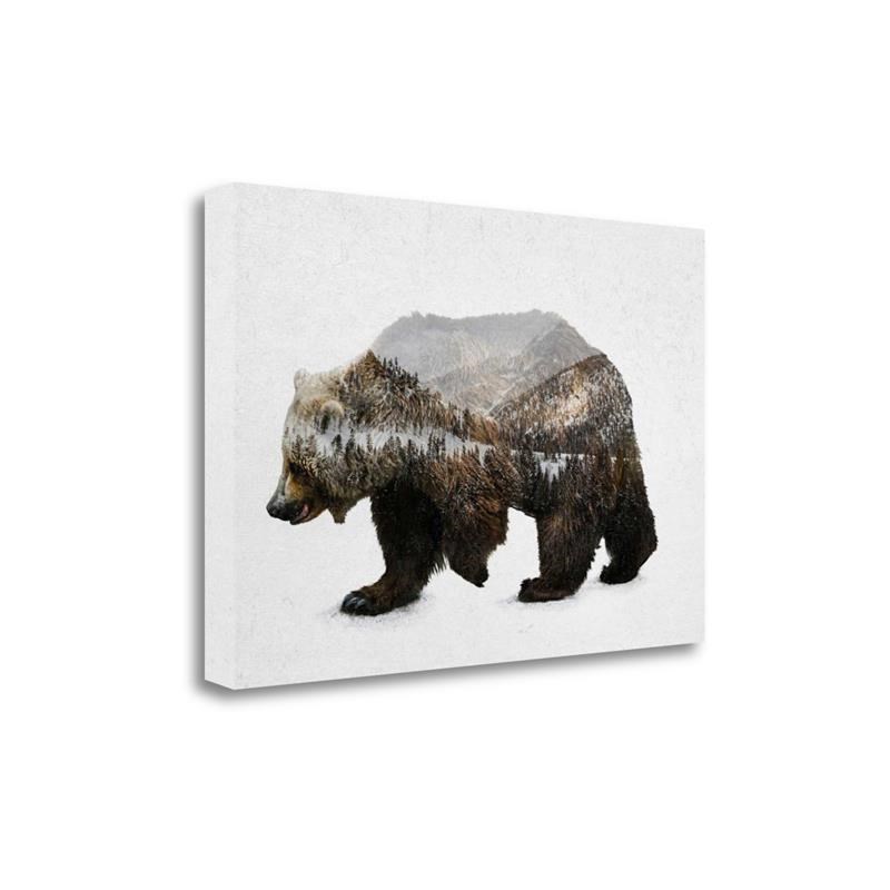 27 x 18 The Kodiak Brown Bear by Davies Babies- PrintOnCanvas Fabric Multi-Color