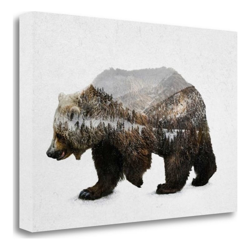 27 x 18 The Kodiak Brown Bear by Davies Babies- PrintOnCanvas Fabric Multi-Color