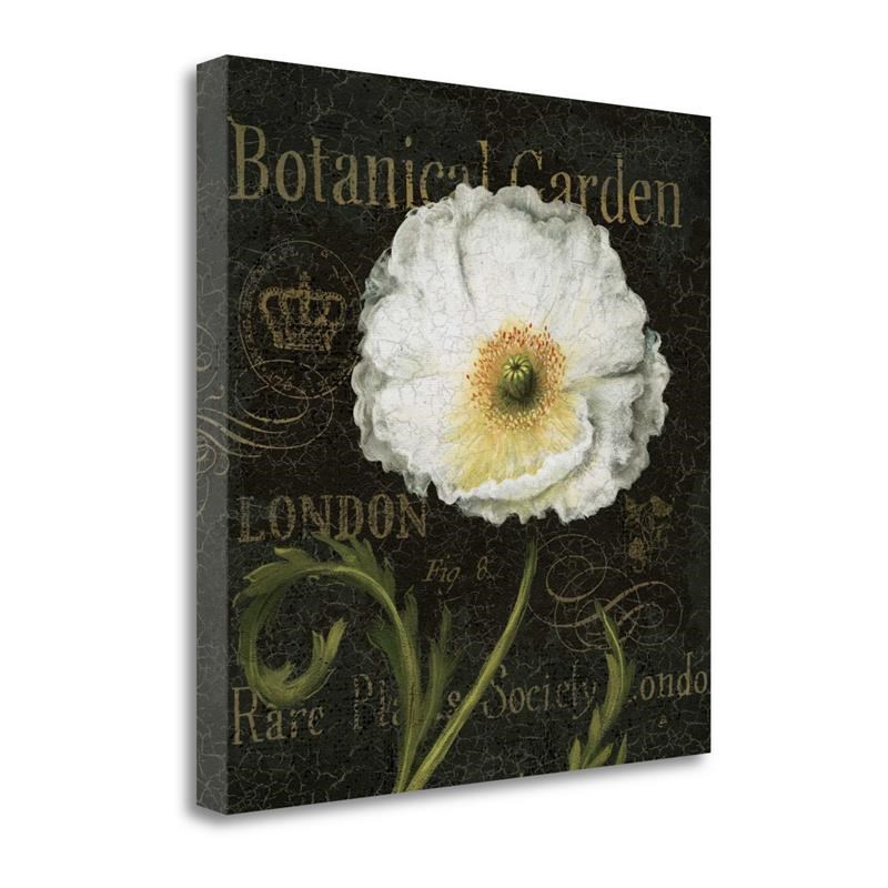 18x18 Botanical Garden II By Daphne Brissonnet Print on CanvasFabric Multi-Color