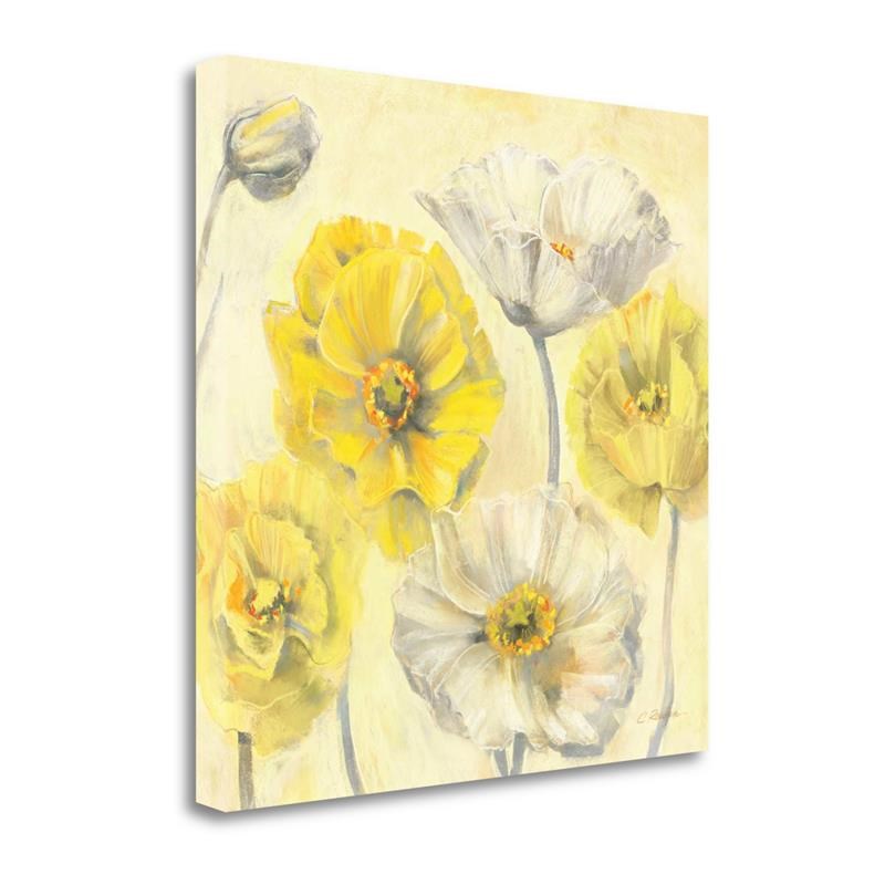Gold And White Contemporary Poppies II By Carol Rowan- Canvas Fabric Multi-Color