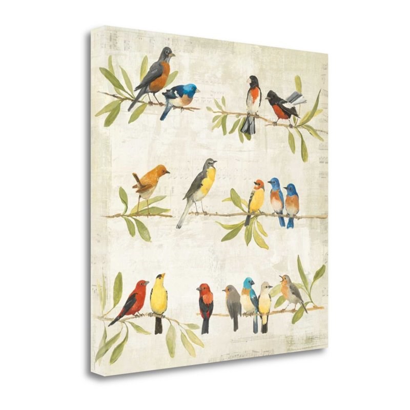 20x20 Adoration Of The Magpie Music By Avery Tillmon - Canvas Fabric Multi-Color