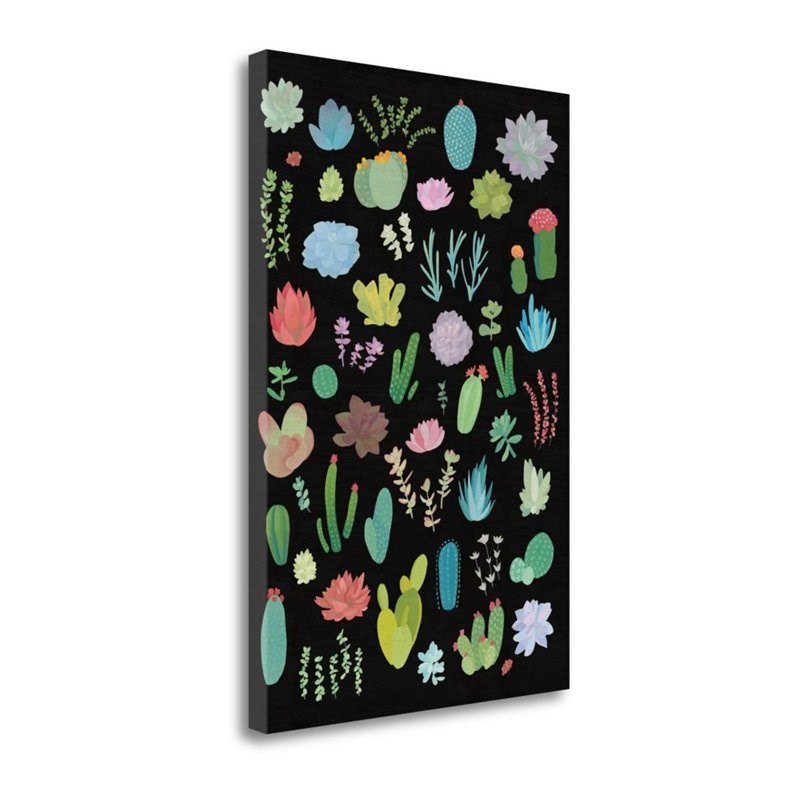 20 x 29 Succulent Chart I By Wild Apple Portfolio - on Canvas Fabric Multi-Color