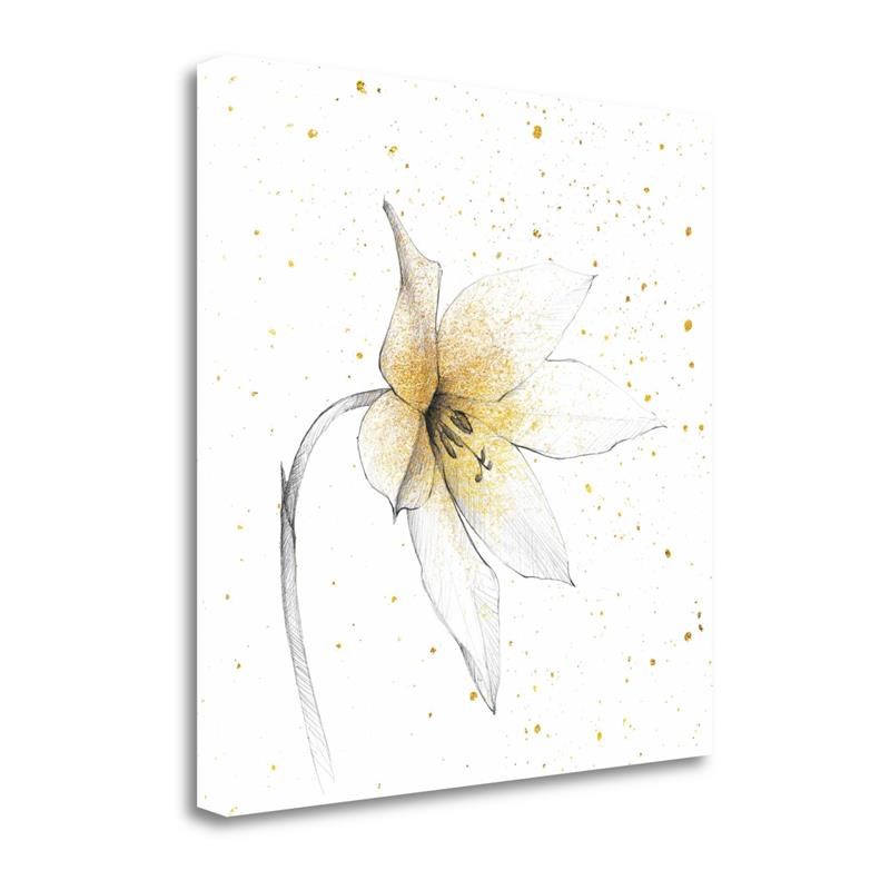 30x30 Gilded Graphite Floral VIII By Avery Tillmon- on Canvas Fabric Multi-Color
