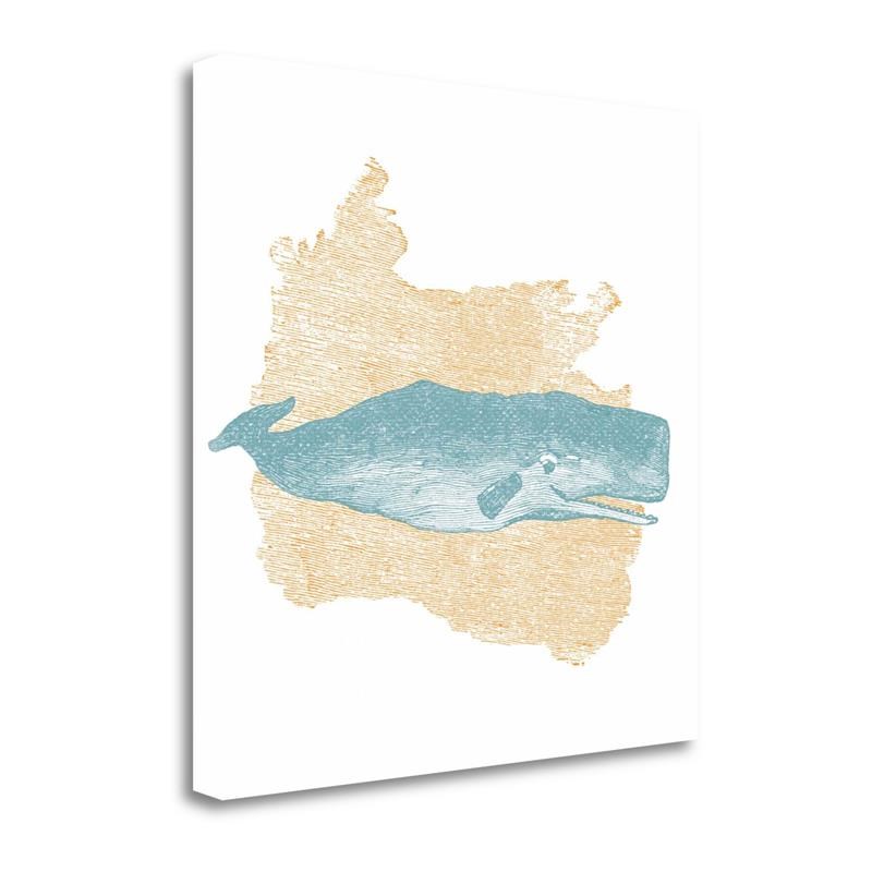 18x18 Sea Brights III By Wild Apple Portfolio Print on Canvas Fabric Multi-Color