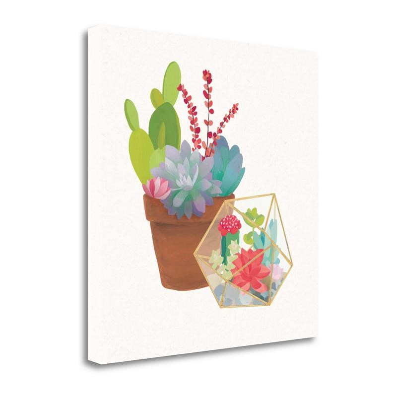 20x20 Succulent Garden II By Wild Apple Portfolio - on Canvas Fabric Multi-Color